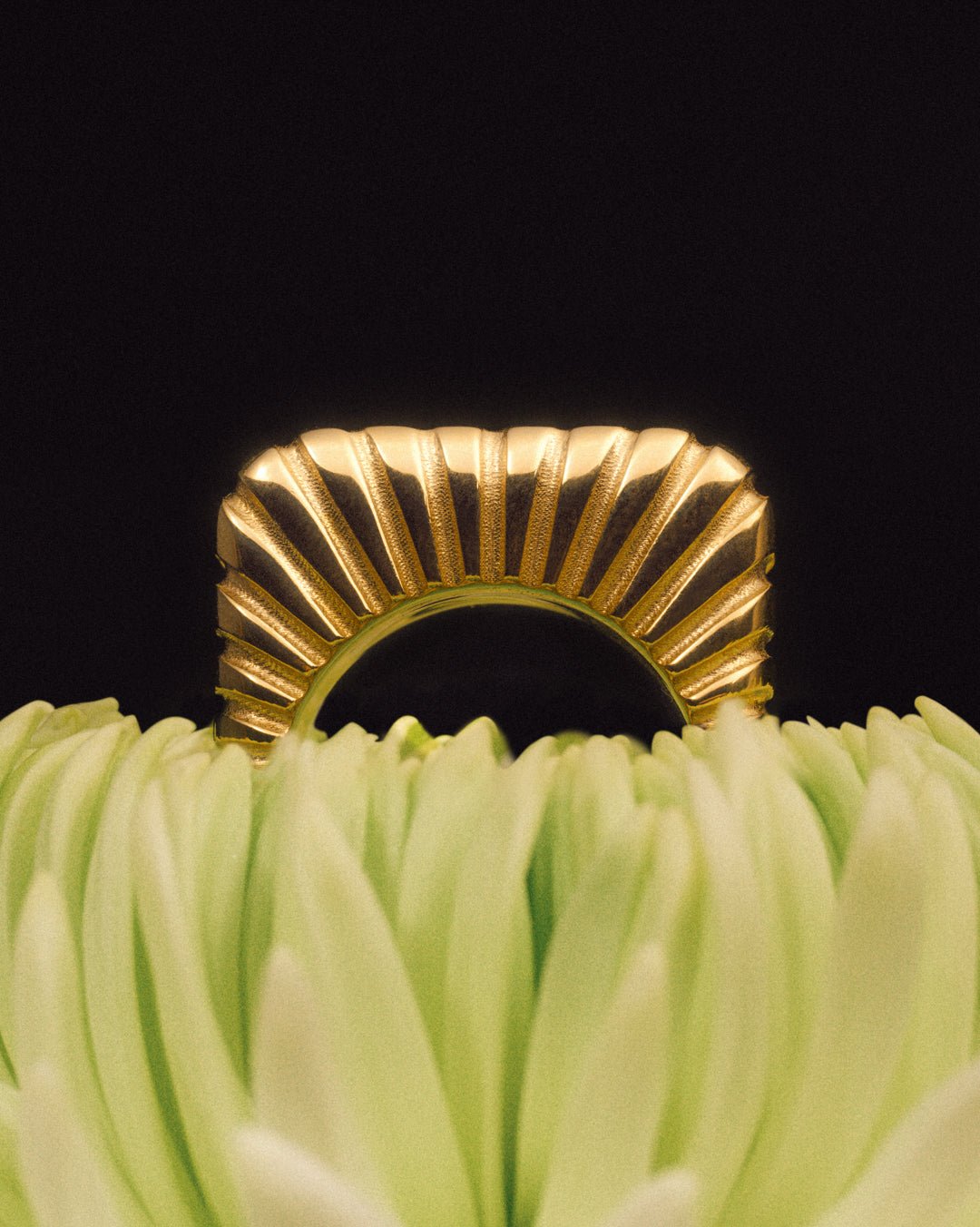 Gold ridged statement ring with fluted design, styled with flower petals.